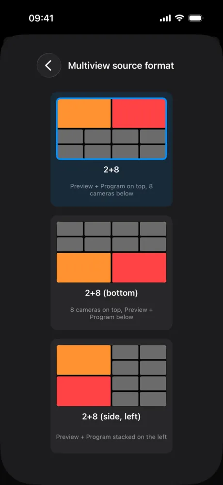 Choosing the multiview format
